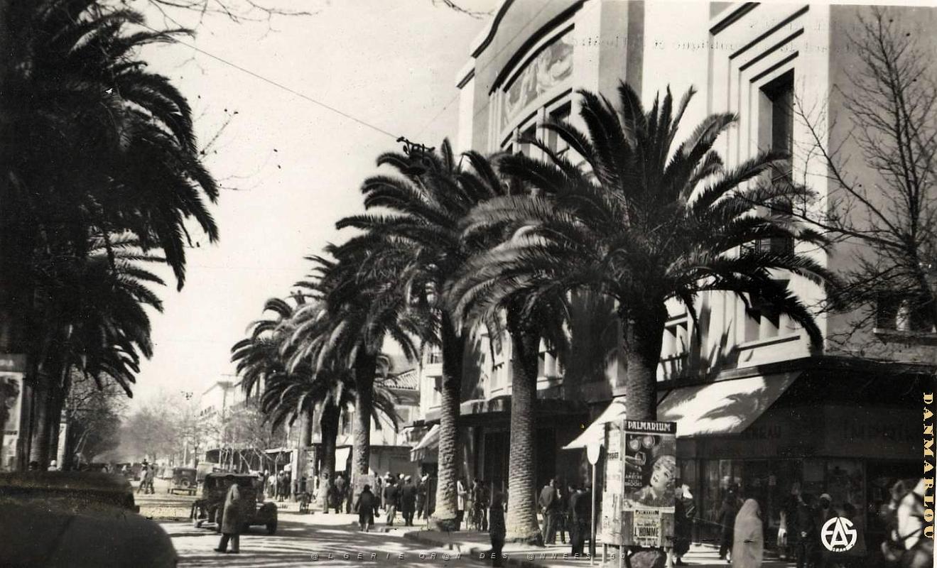 Sidi bel abbes 530- Bd Republique- Theatre COLLECTION DES AMIS DE ND DE SANTA CRUZ.jpg